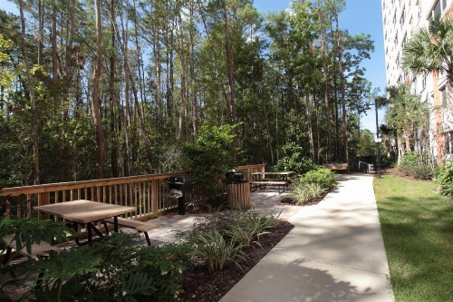 Vacation Village at Parkway image 10
