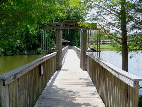 Vacation Village at Parkway image 11